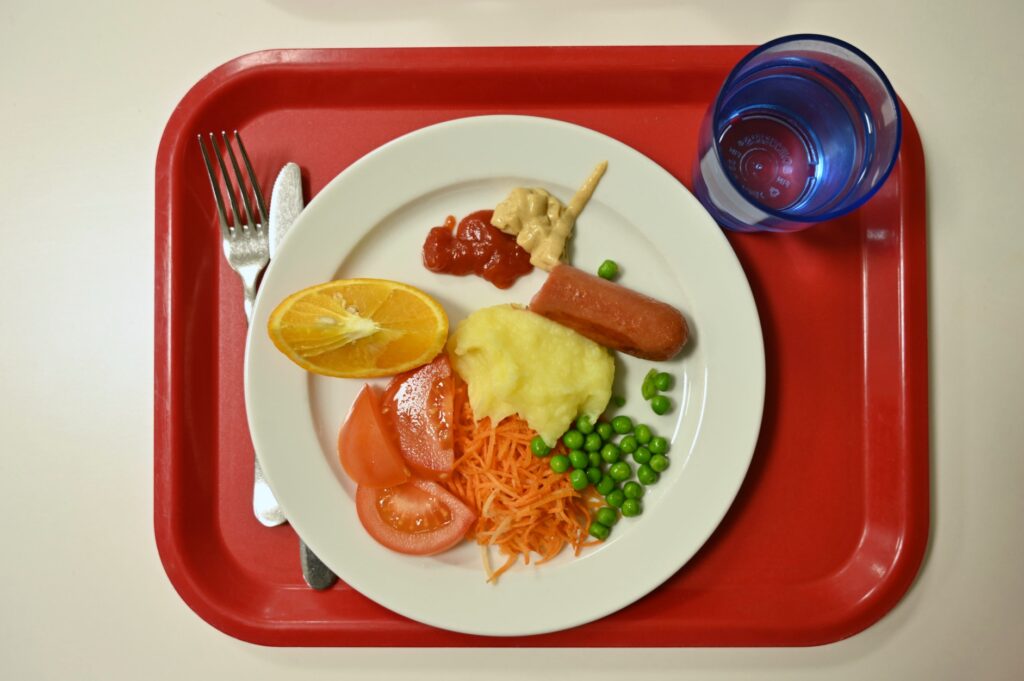 Makan Bergizi Gratis