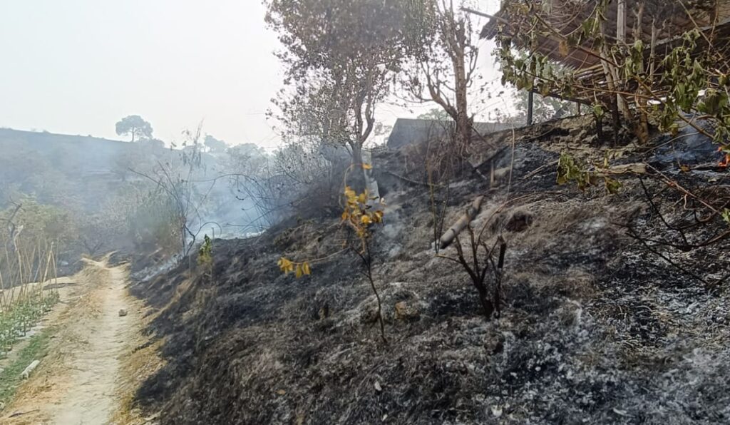 Foto : Kebakaran lahan di Kelurahan Baruga, Kecamatan Banggae Timur, Kabupaten Majene, Sulawesi Barat pada Rabu (14/10) pukul 12.00 WITA. (BPBD Kabupaten Majene)
