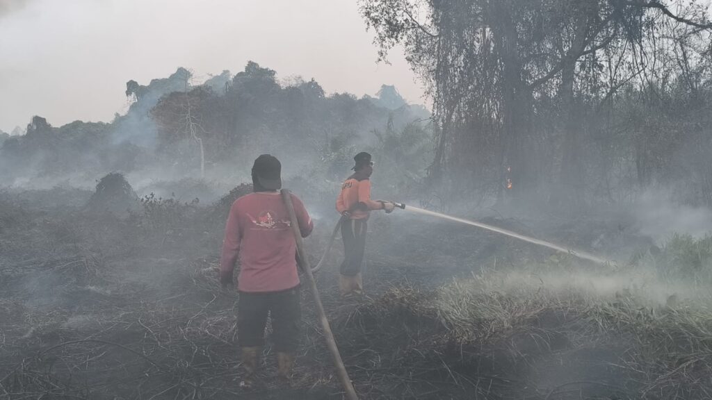 Petugas BNPB melakukan pemadaman kebakaran hutan dan lahan di Muara Kuaro, Muara Komam, Kabupaten Paser.